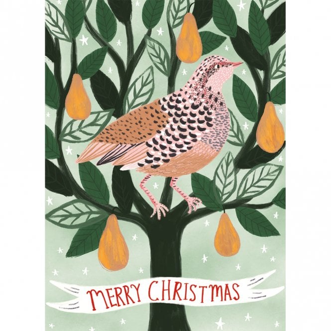 NEW 8 BHF Christmas Cards with Envelopes Christmas Partridge St